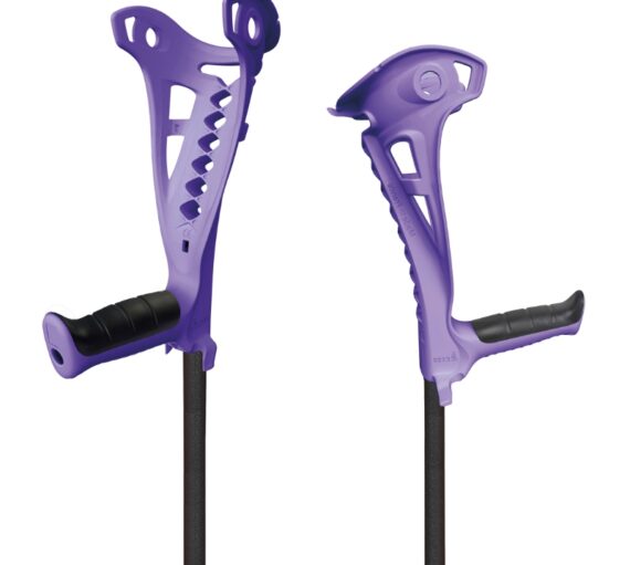 CANNE ANGLAISE ADULTE